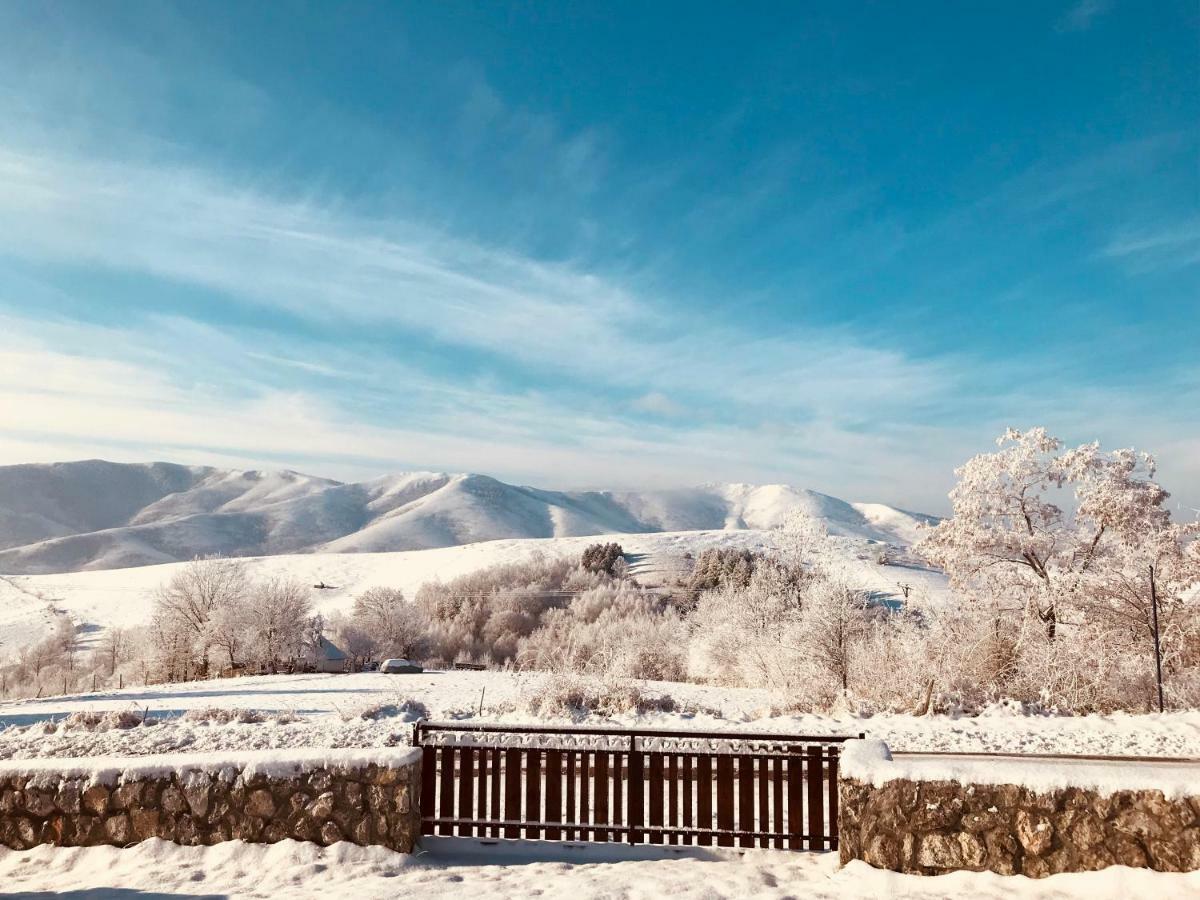 Zlatibor Cottages Exterior photo